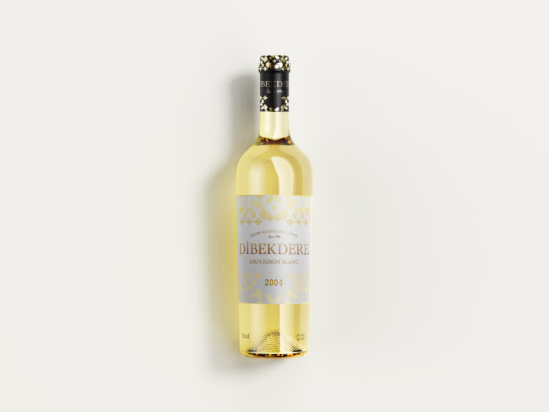 0On 800x600 - Sanders