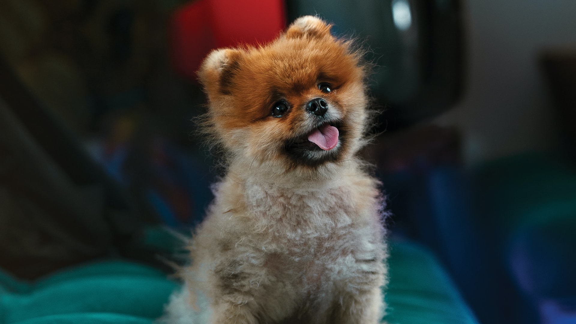 A Beginners Guide to Branding attachment 03 - A Beginners Guide to Branding