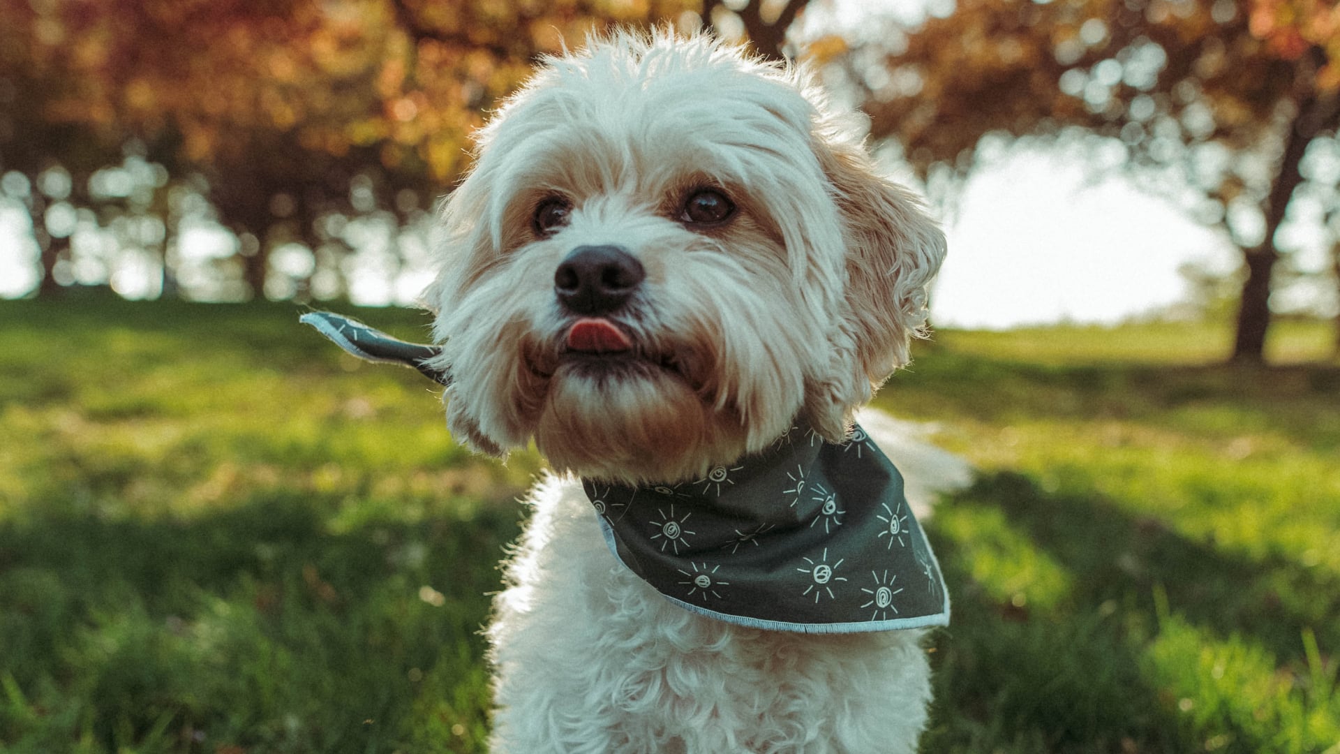 attachment 10 - Blog