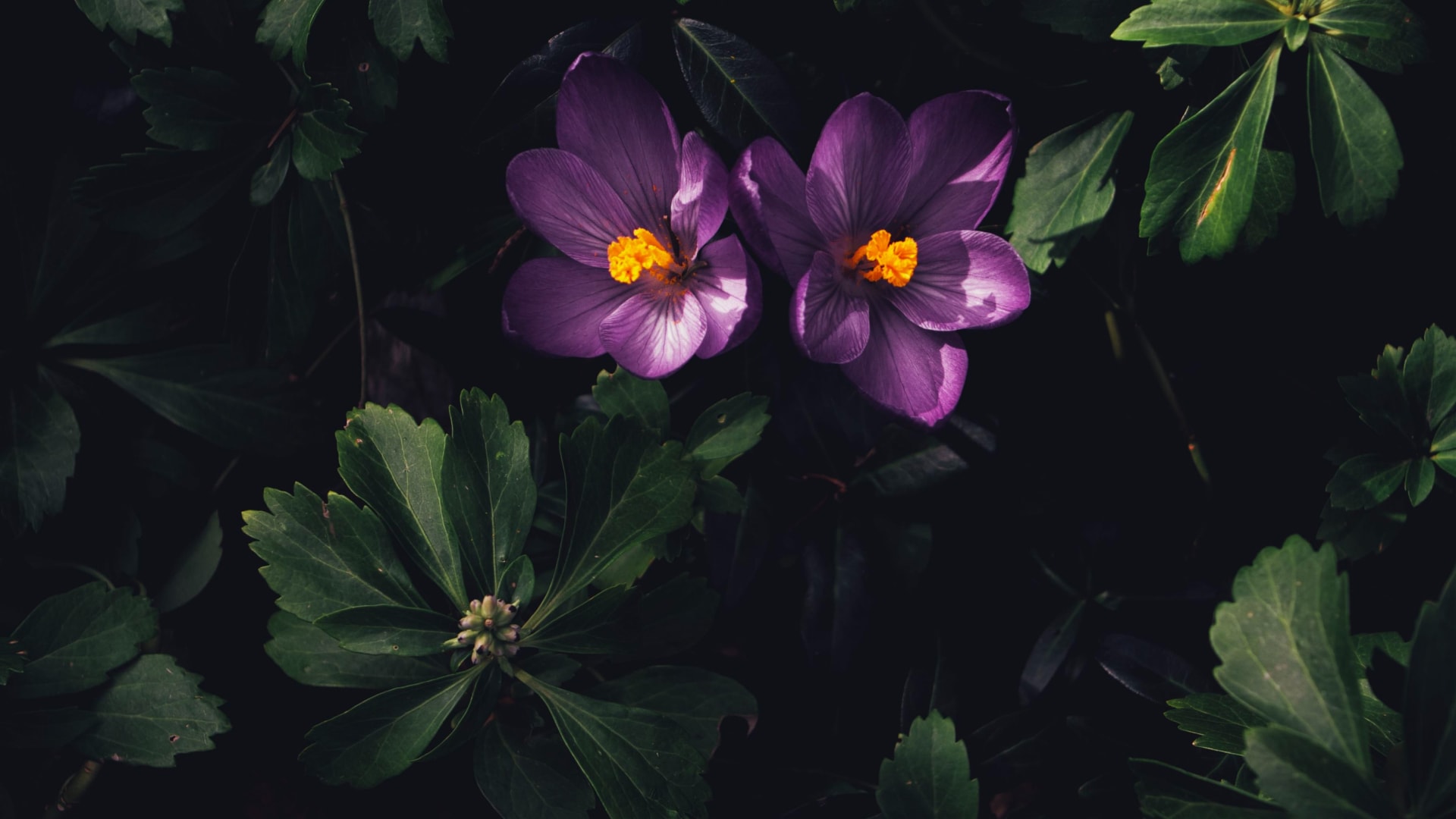 attachment 11 - Blog